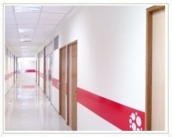 Slider image (6) InteraCells | Chronic Disease Therapy